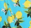 Lemon Print Swing Dress