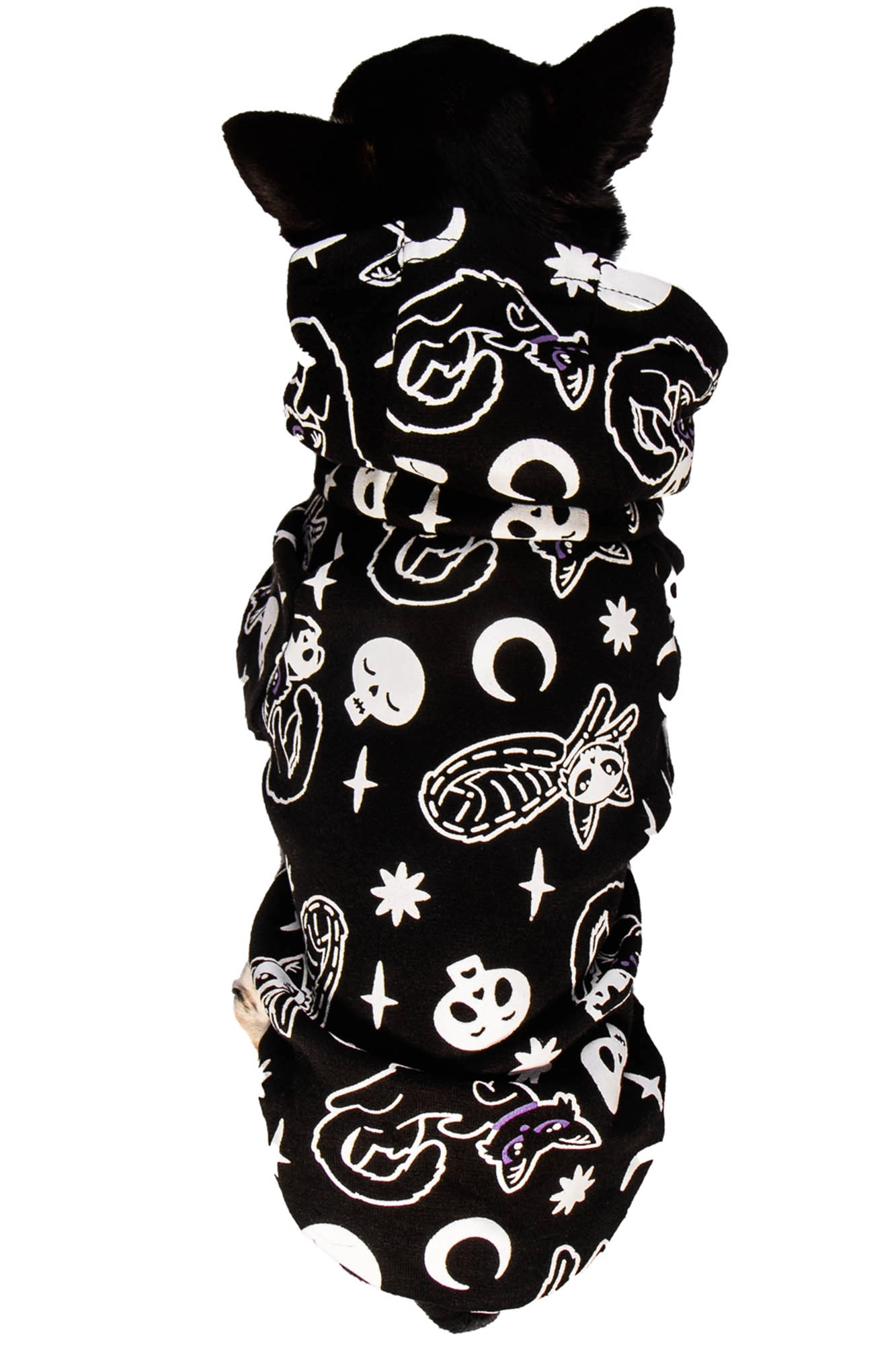 Purr Off Pet Hoodie