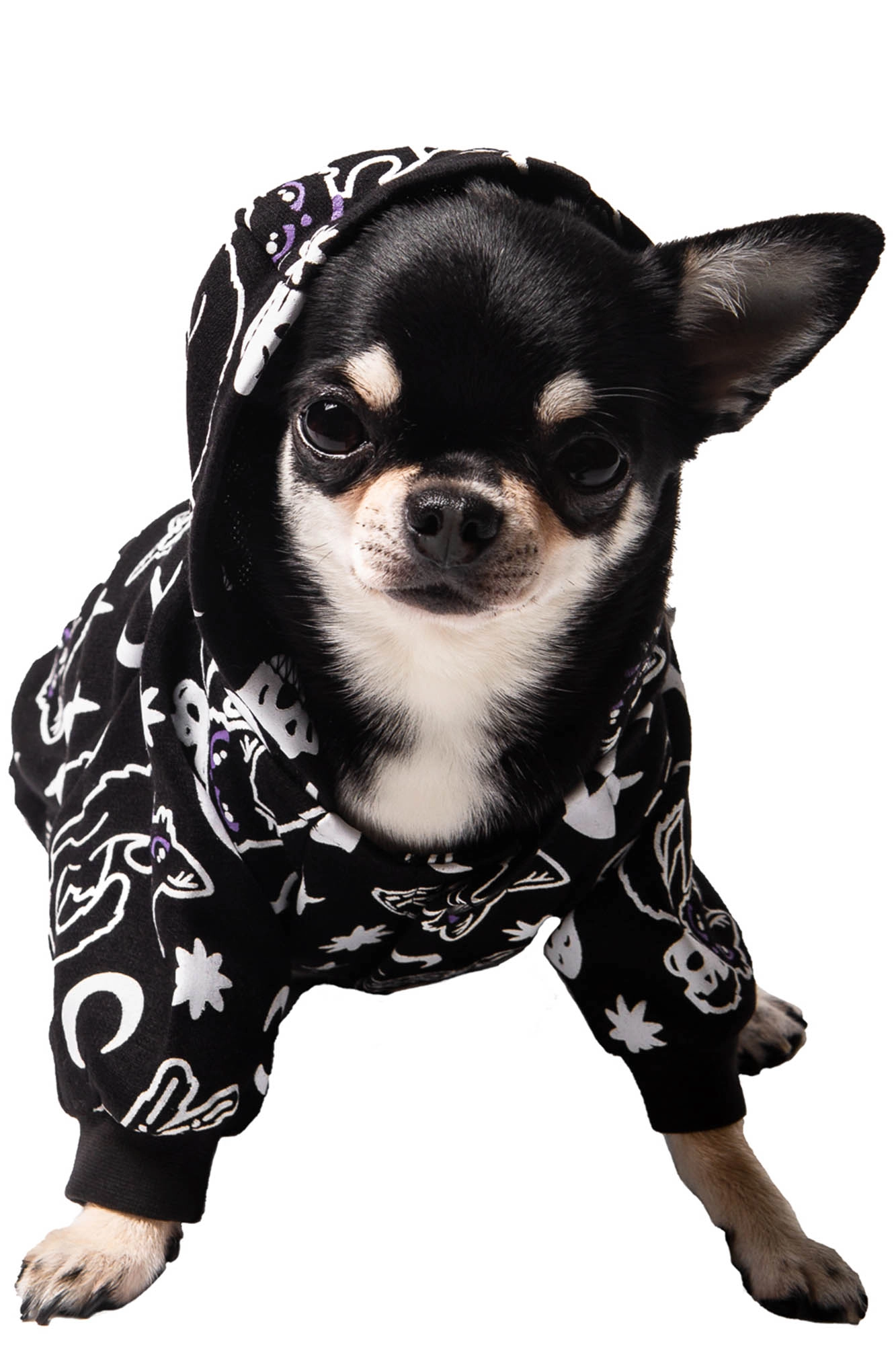 Purr Off Pet Hoodie