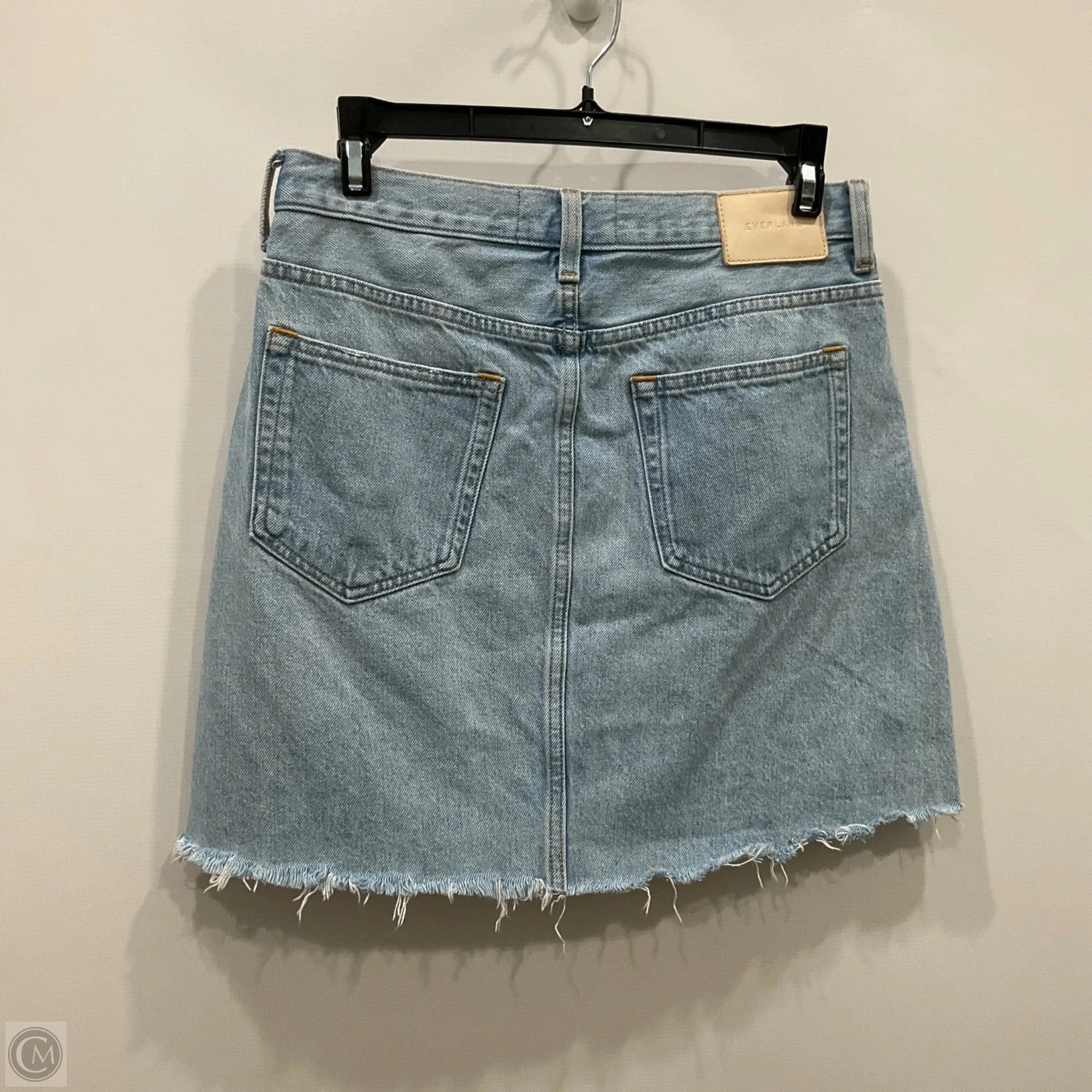 Skirt Mini & Short By Everlane In Blue Denim, Size: 2